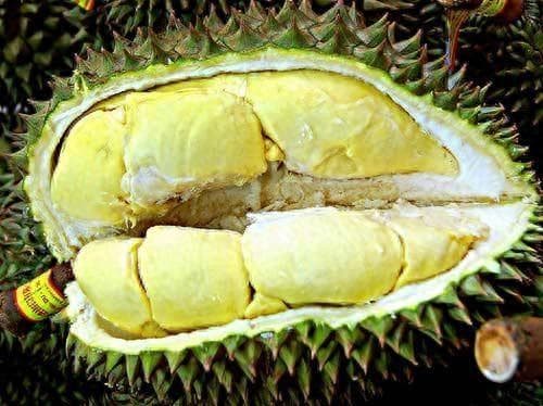 如何判断榴莲是否成熟？选购技巧全攻略