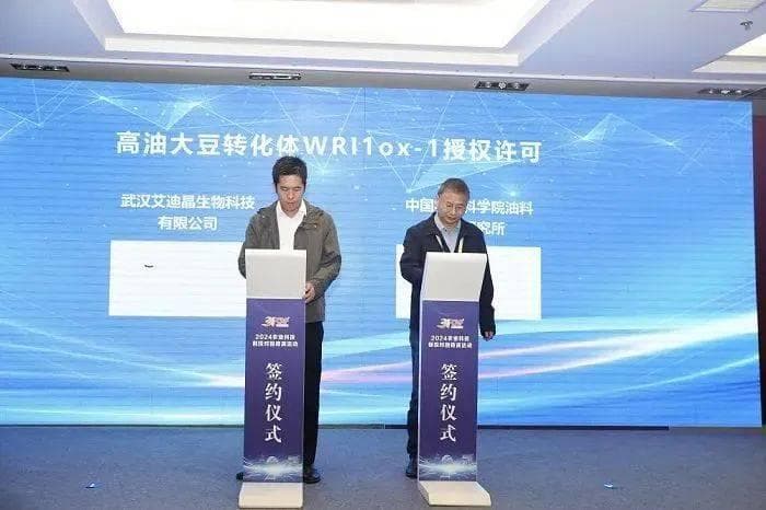 1500万元！一转基因大豆新种质卖出高价