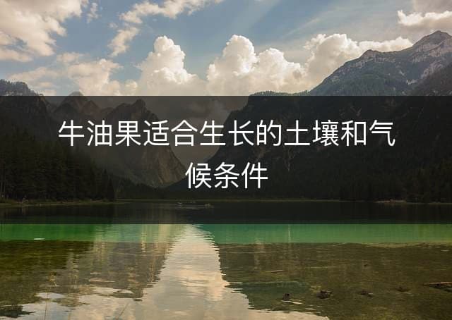 牛油果适合生长的土壤和气候条件
