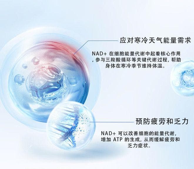 换季时节，NAD+ 如何帮助我们保持身体健康？