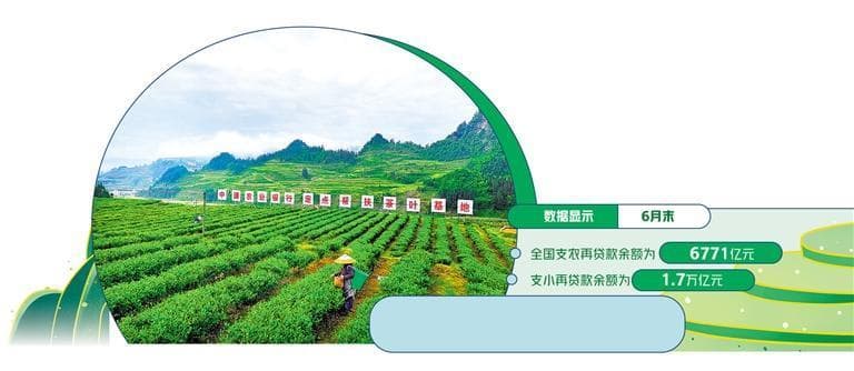金融加快赋能乡村振兴
