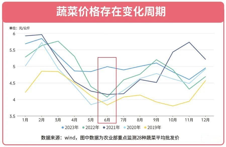 这个夏天，是什么让上海的黄瓜价格上涨？