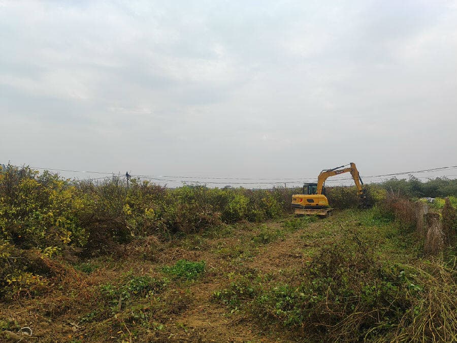 “非粮化”整治守沃土 富硒作物种植促振兴