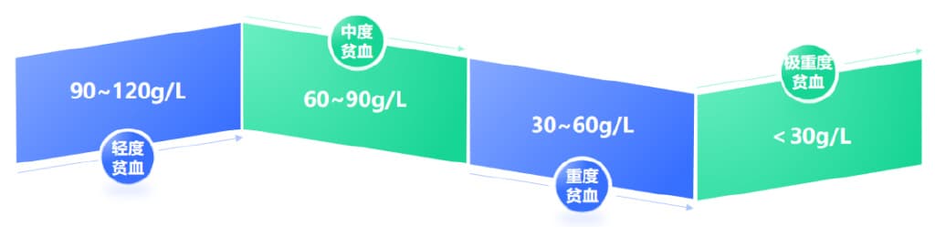 就诊指南丨揭秘血常规：血液报告单里藏着的健康密码