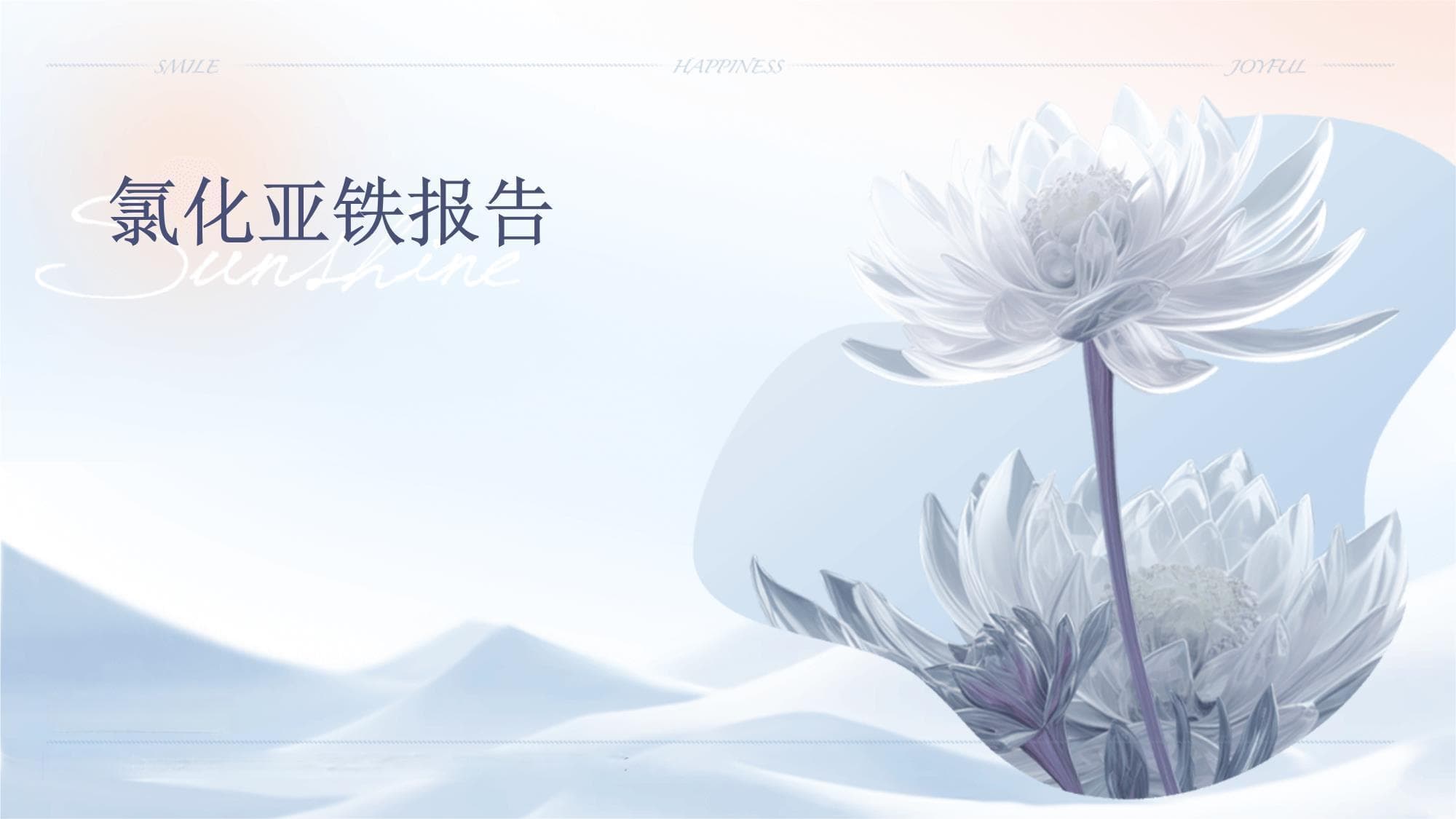 氯化亚铁报告