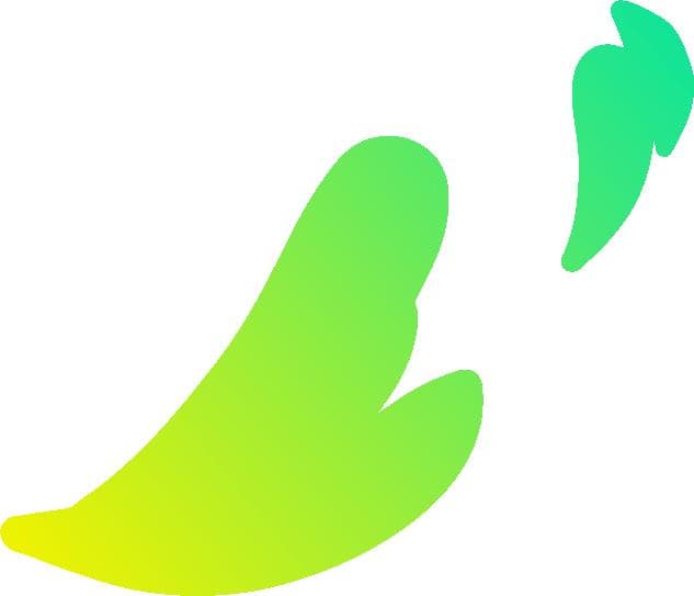 日本发现新恐龙化石：寐猎龙揭示伤齿龙早期演化