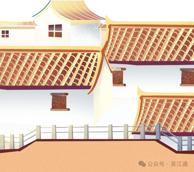 吴江香青菜：一方水土养出的特色美味