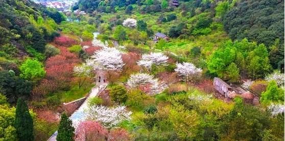 2024宁波九峰山网岙景区游玩路线+开放时间+景区简介