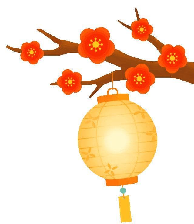 包含预约、交通、路线图，南京元宵节赏灯攻略来了！