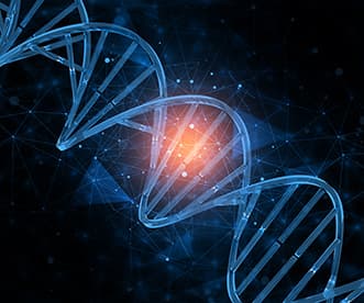 牛津大学开发新型DNA克隆技术：单酶操作实现200kb超长片段无痕组装
