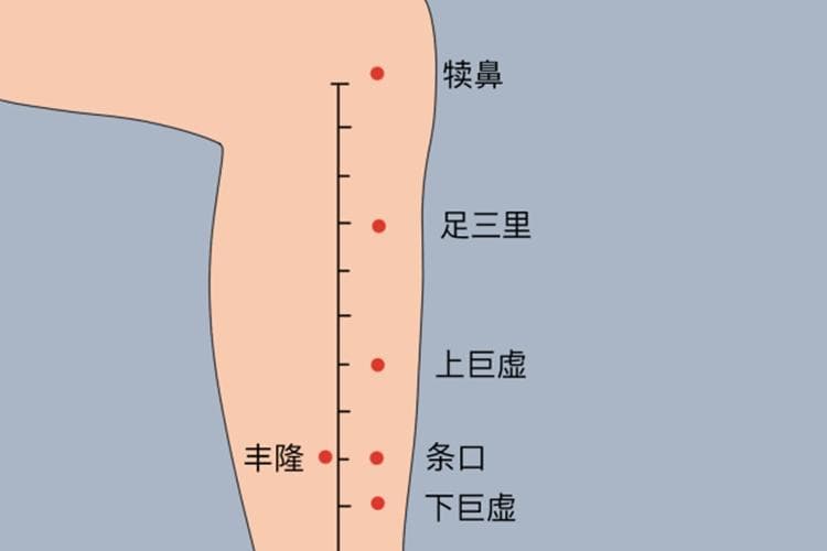 放屁多按摩哪个部位