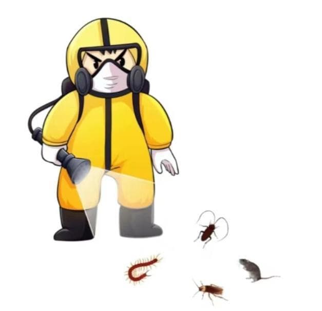 病媒生物防制 | 除“四害”，护健康！