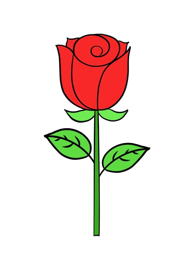 玫瑰花简笔画大全：从入门到精通的绘画指南