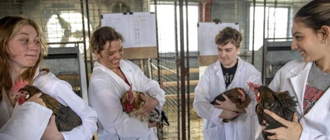 美国大学专业介绍：动物学 Zoology与动物科学 Animal Science