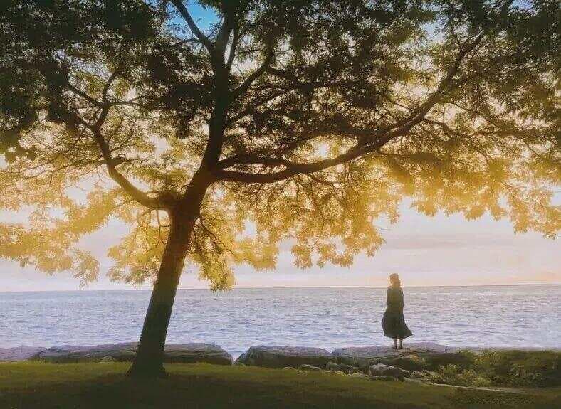 努力的意义，是让自己的人生有选择的权利