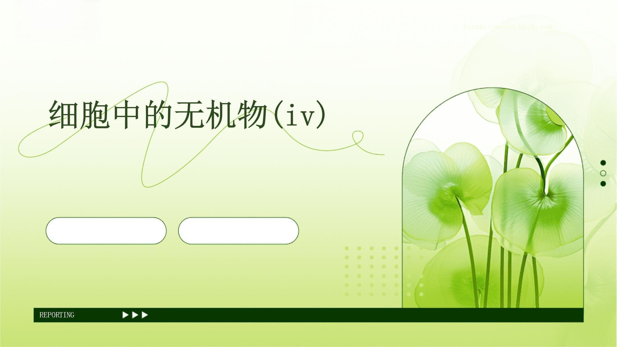 无机物在细胞中的功能与代谢：从水盐平衡到信号传导