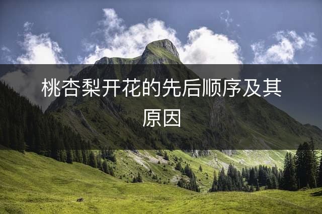 桃杏梨开花的先后顺序及其原因
