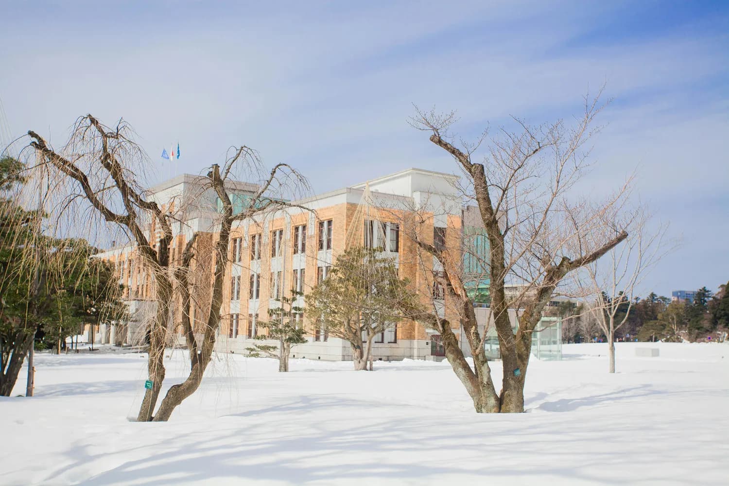 东北育才学校：75年教育传奇，为国育才的光辉历程