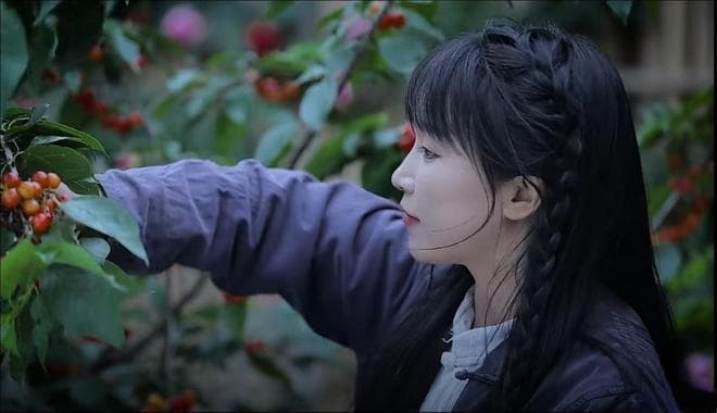 一夜涨粉700万的李子柒：用作品向网红时代优雅告别