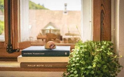 英语语法难点攻克： 解锁“Worth”的正确打开方式