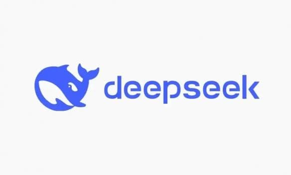 DeepSeek本地部署和网页版区别：更隐私更安全