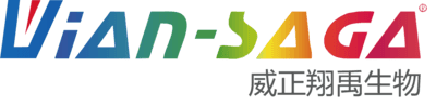 研究揭示神经元传递信息的机制