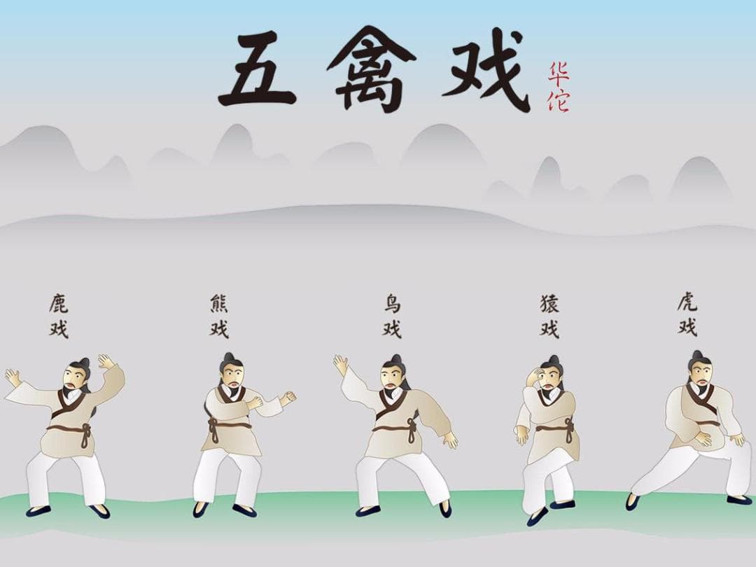健身气功五禽戏视频演练及视频教学分享（内容详细，附动作分解）