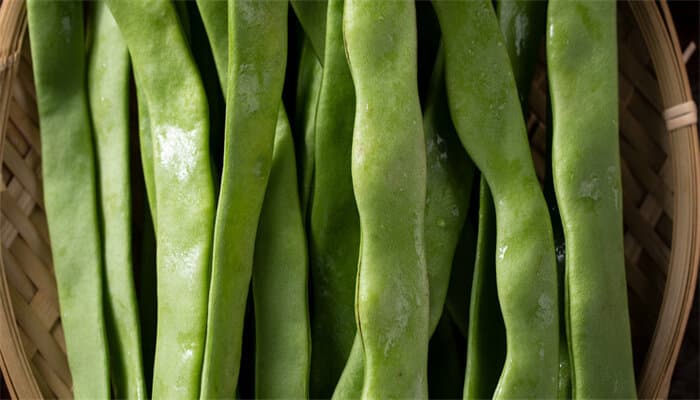 芸豆是什么豆