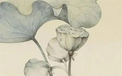 虎年属蛇戴红绳：三大功效与佩戴禁忌全解析