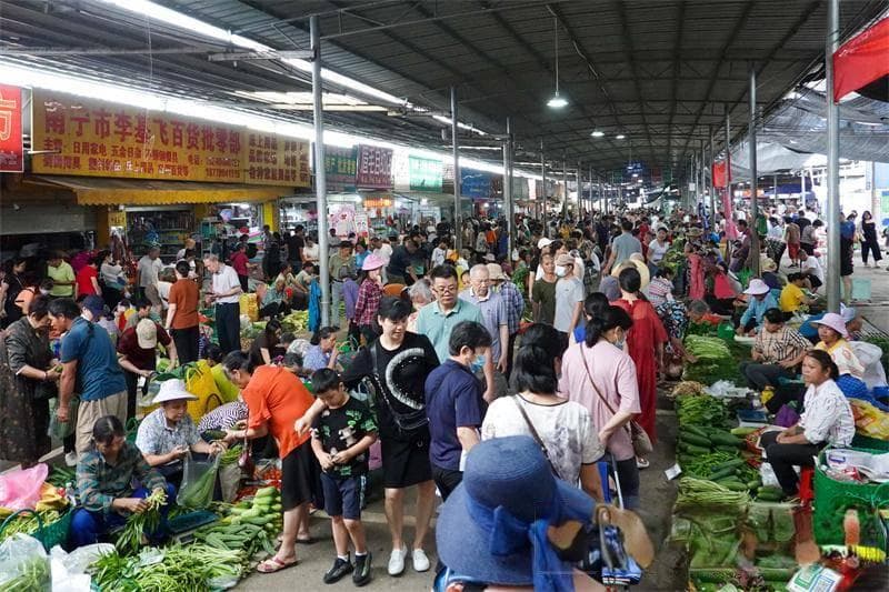 买鸡鸭还能领补贴！去南宁这个传统圩市赶圩好温馨