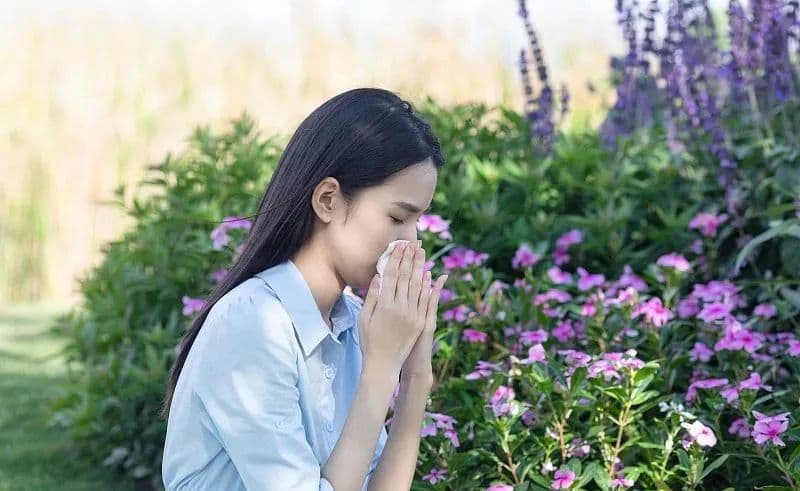 春暖花开，花粉过敏怎么破？一文读懂→