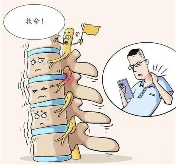 【健康科普】了解脊柱，守护健康！