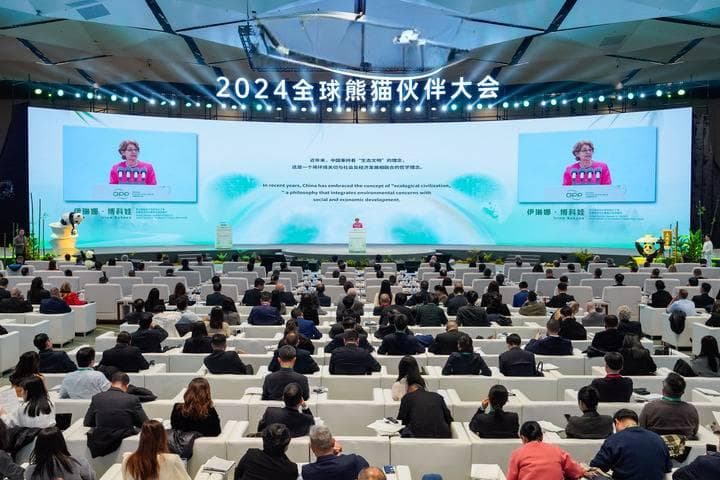 让国宝家园更加美丽！大熊猫国家公园绵阳片区这样建→