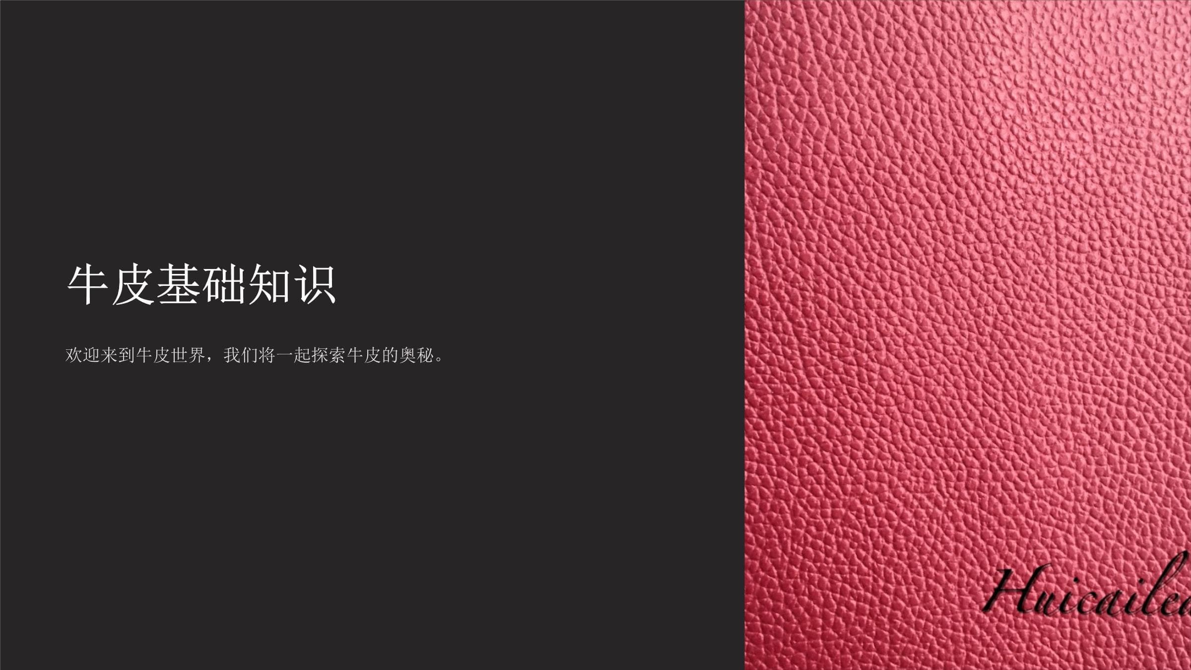 牛皮基础知识：从构造到应用的全面指南