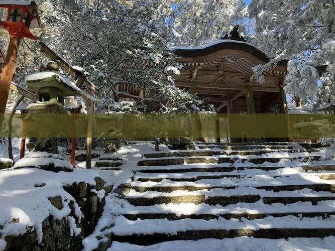 探索锡林郭勒盟：详尽旅游攻略，包括旅行时间、必去景点和实用贴士