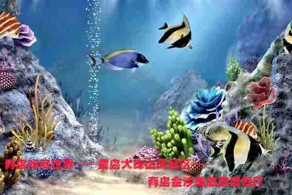 山东三日游最佳路线-山东3日游最佳路线图