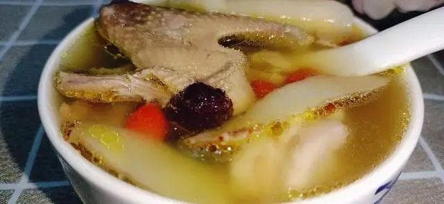 孕妇可以吃鸽子肉和汤吗？孕妇吃鸽子，滋补又安心