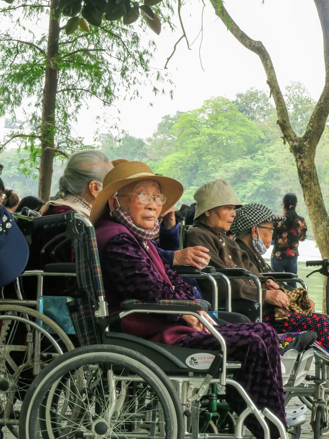 徐州老年卡办理全攻略：手把手教你搞定！