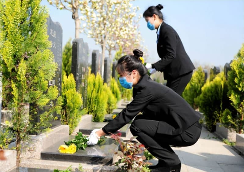 扫墓时的礼仪与禁忌：尊重与缅怀先人的正确方式