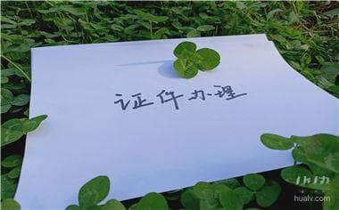 二级残疾证办理指南及用途详解