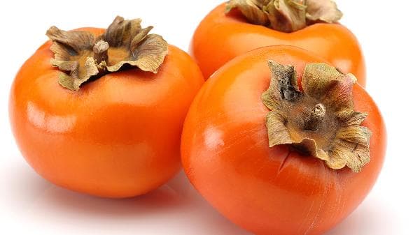 补充高蛋白提高免疫力的十大食物