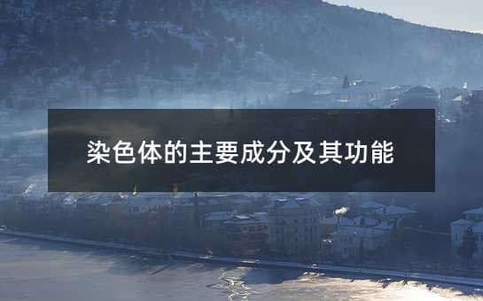 染色体的主要成分及其功能