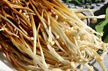 金针菇可以生吃吗？从食品安全到健康饮食的全面解析