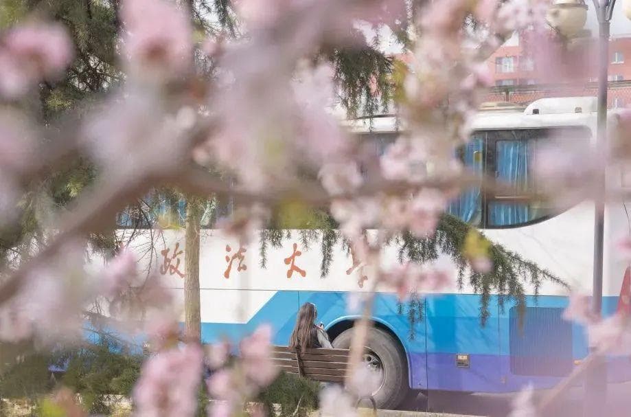 气清景明，思念绵长