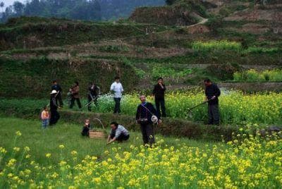 新化山歌到涟源剪纸：娄底十大民俗文化巡礼