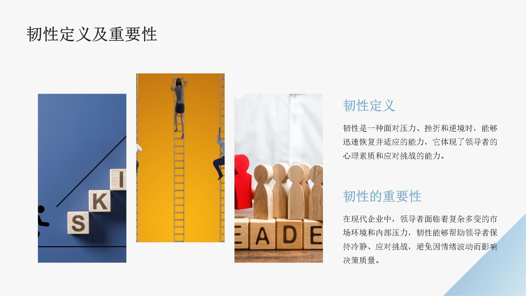 企业领导者的韧性与决策能力培养