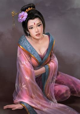 樊夫人简介