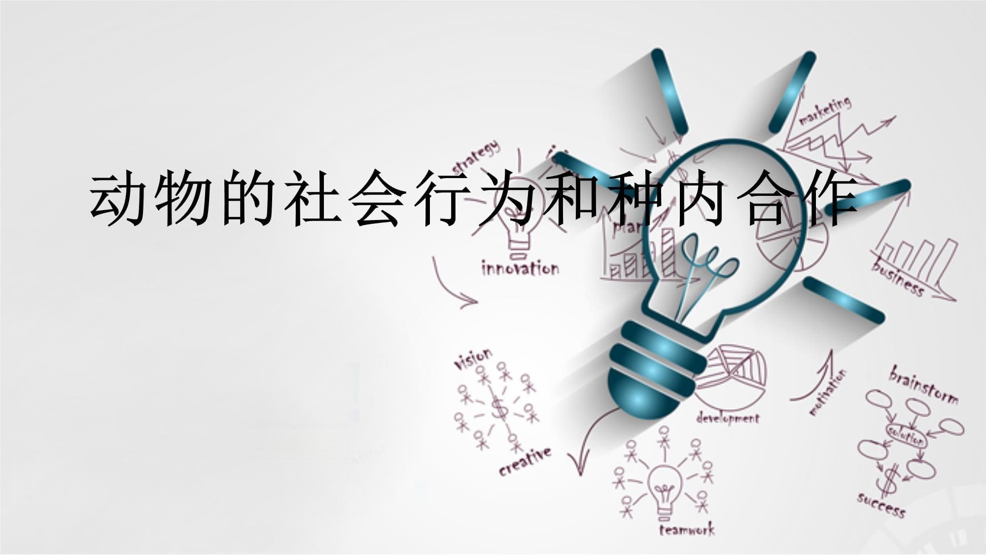 动物的社会行为和种内合作