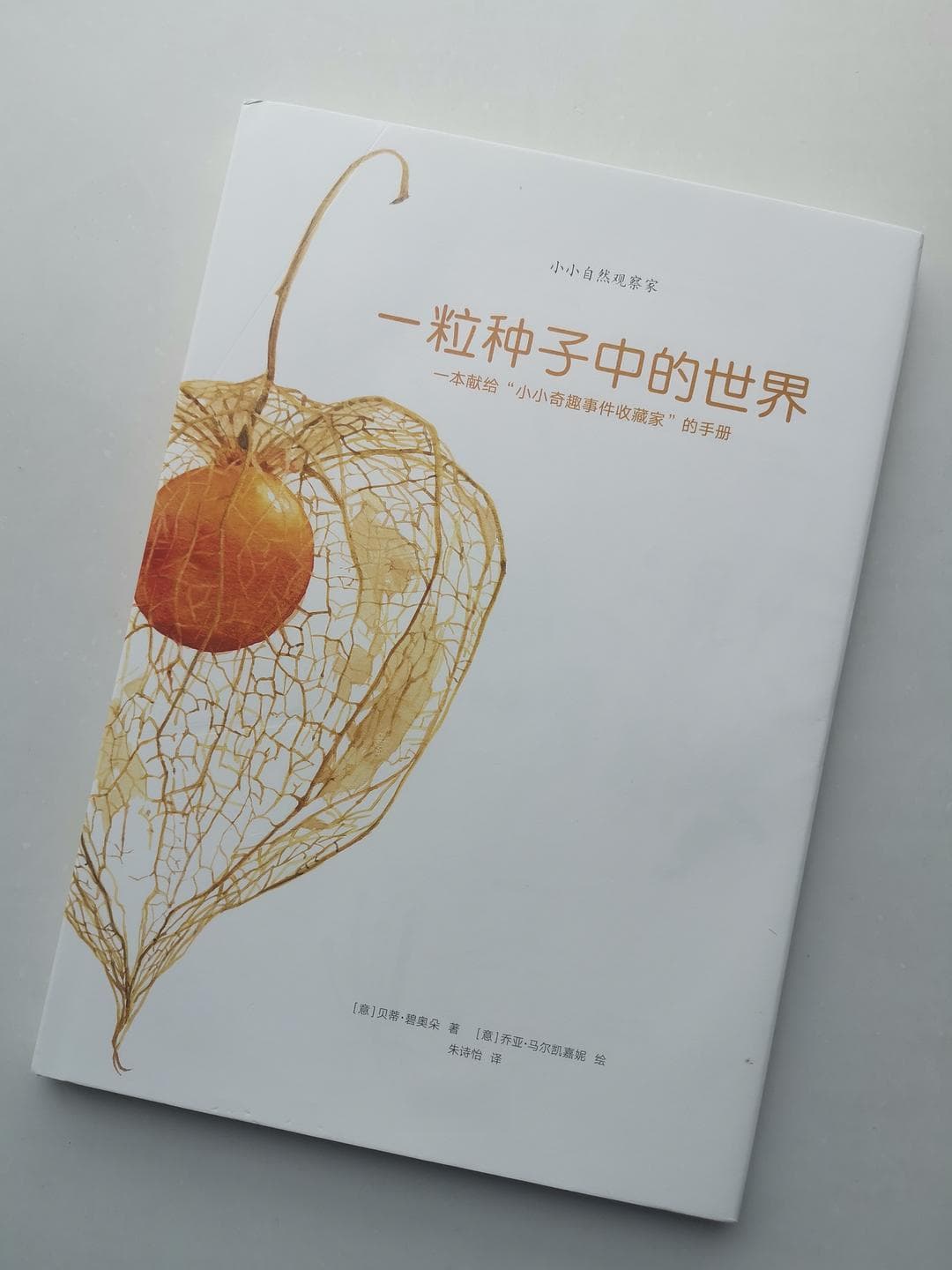 激发孩子对自然的好奇心与探索欲
