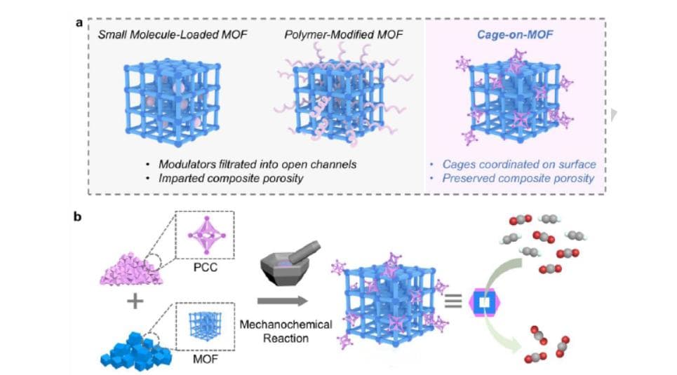 机械化学 "Cage on MOF”策略实现乙烯乙炔气体吸附和分离